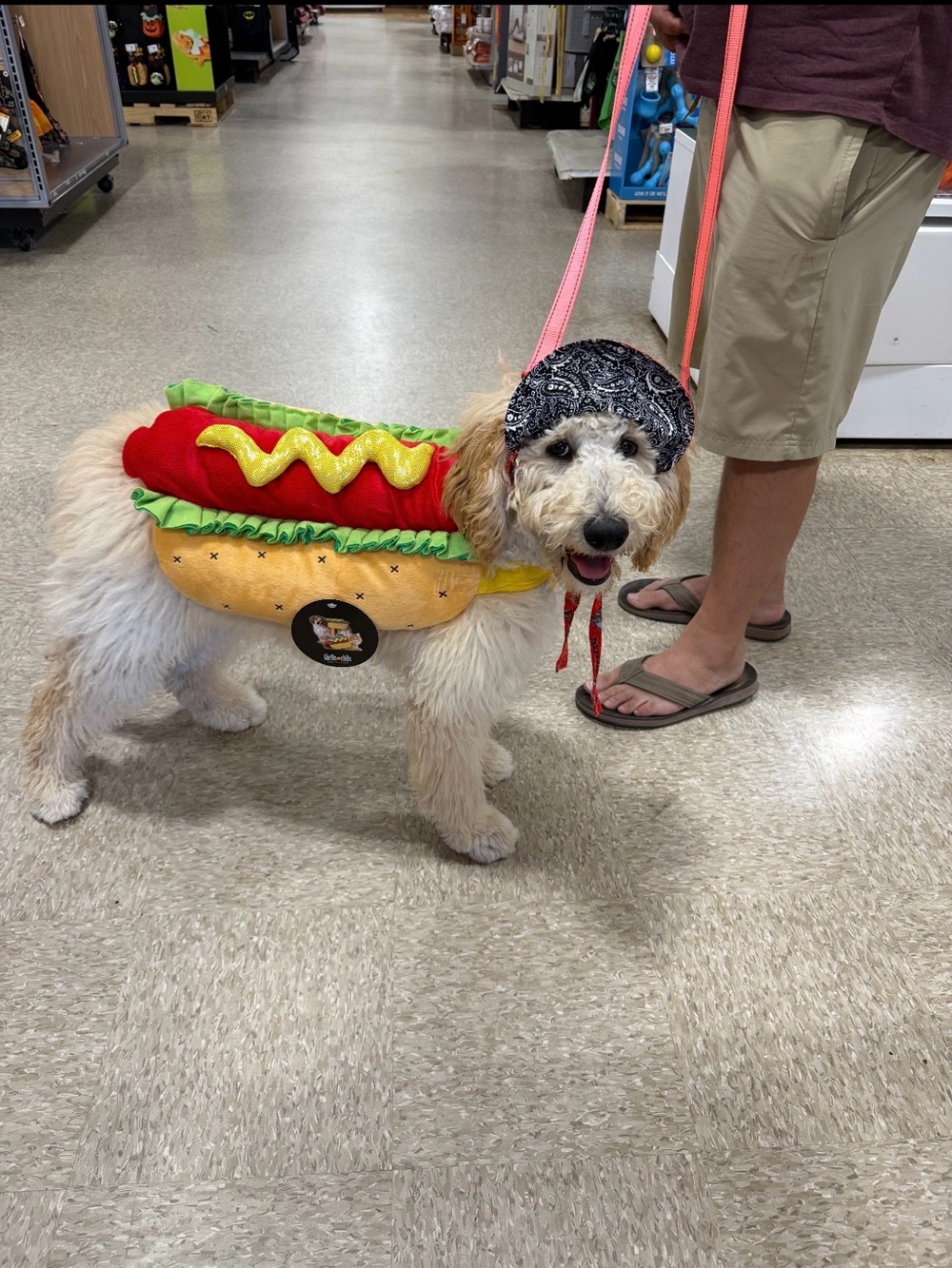 Thrills Hot Dog Costume for Dogs